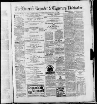cover page of Limerick Reporter published on August 2, 1881
