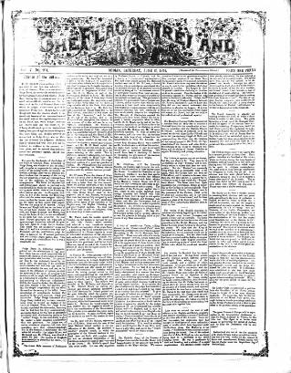 cover page of Flag of Ireland published on June 13, 1874