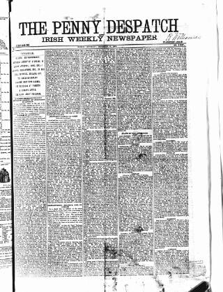 cover page of Penny Despatch and Irish Weekly Newspaper published on December 15, 1866