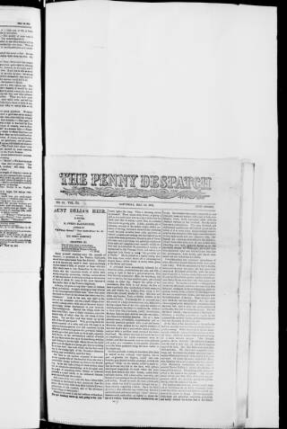 cover page of Penny Despatch and Irish Weekly Newspaper published on May 22, 1875