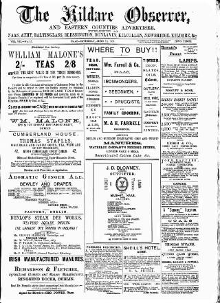 cover page of Kildare Observer and Eastern Counties Advertiser published on June 13, 1885