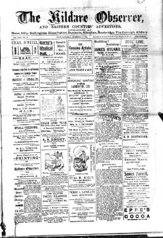 cover page of Kildare Observer and Eastern Counties Advertiser published on December 13, 1902