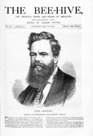 cover page of Bee-Hive published on May 22, 1875