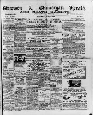 cover page of Swansea and Glamorgan Herald published on June 13, 1883