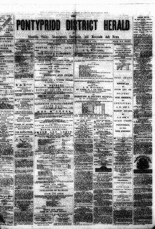 cover page of Pontypridd District Herald published on November 2, 1878