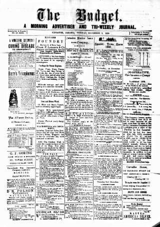 cover page of Budget (Jamaica) published on November 2, 1880