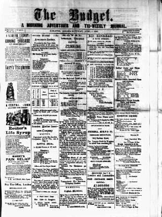 cover page of Budget (Jamaica) published on April 1, 1882