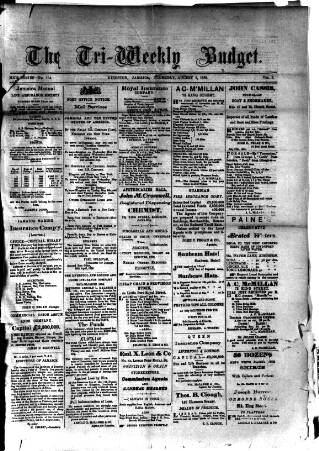 cover page of Budget (Jamaica) published on August 2, 1888