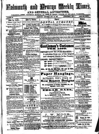 cover page of Cornish Echo and Falmouth & Penryn Times published on May 22, 1880