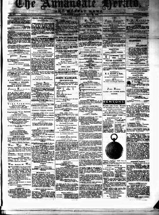 cover page of Annandale Herald and Moffat News published on May 22, 1879