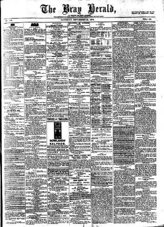 cover page of Bray and South Dublin Herald published on September 28, 1878