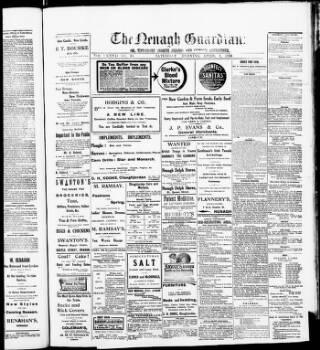 cover page of Nenagh Guardian published on April 1, 1916